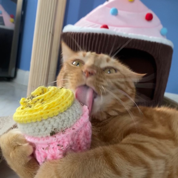 Meet your Posher, Jennifer - Picture 11 of 12